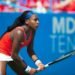 coco gauff net worth
