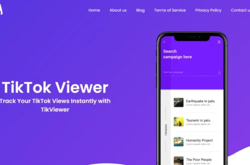 tiktok anonymous story viewer