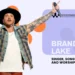 Brandon Lake Net Worth